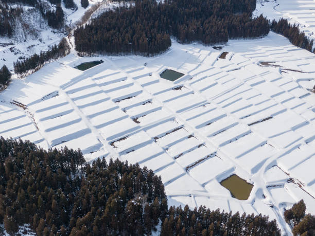 istock Drone photography: Rice terraces surrounded by trees and covered in beautiful snow 2075650561