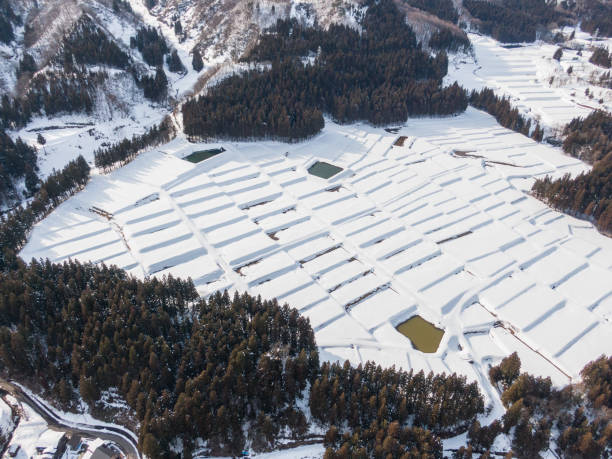 istock Drone photography: Rice terraces surrounded by trees and covered in beautiful snow 2075650700
