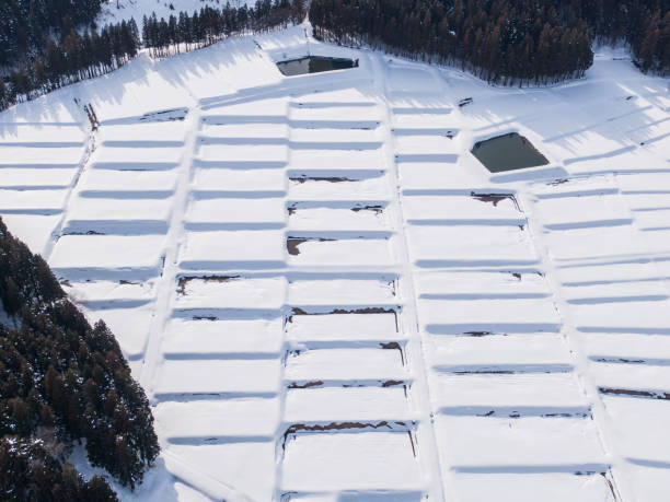 istock Drone photography: Rice terraces surrounded by trees and covered in beautiful snow 2075651608