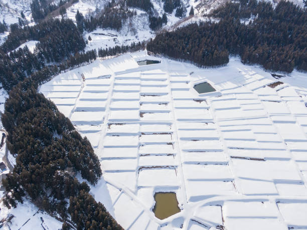 istock Drone photography: Rice terraces surrounded by trees and covered in beautiful snow 2075651616