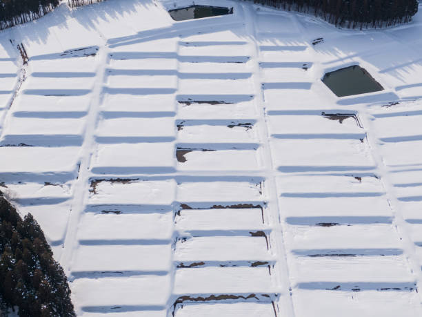 istock Drone photography: Rice terraces surrounded by trees and covered in beautiful snow 2075652121