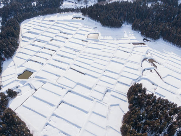 istock Drone photography: Rice terraces surrounded by trees and covered in beautiful snow 2075653700