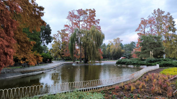 istock colorful autumn in Danube park in Novi Sad 2075709575