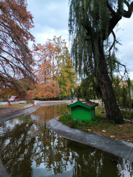 istock colorful autumn in Danube park in Novi Sad 2075710097