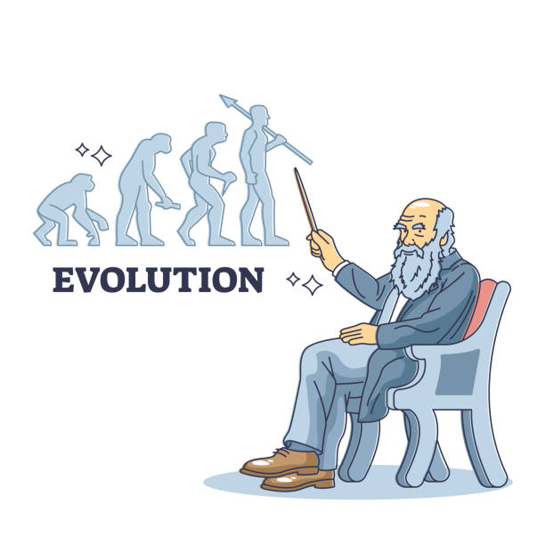 charles darwin mit populärer evolutionstheorie für den ursprung des konzepts - evolution stock-grafiken, -clipart, -cartoons und -symbole