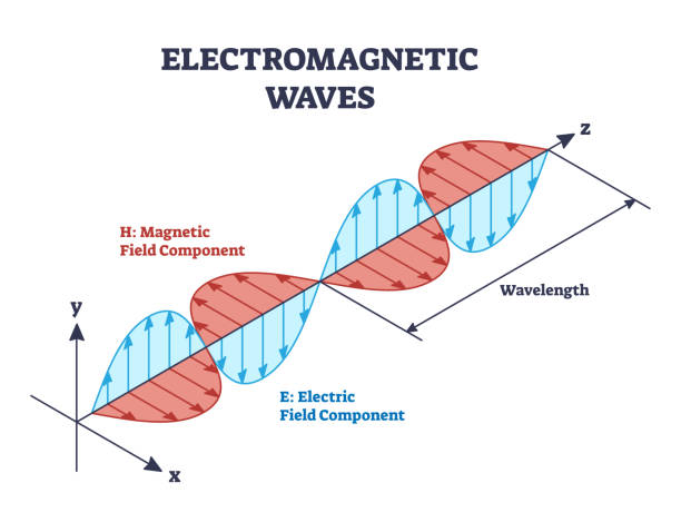 Electromagnetic waves with magnetic and electric fields outline diagram Electromagnetic waves with magnetic and electric fields components on axis outline diagram. labeled educational scheme with physical wavelength explanation vector illustration. Physics basics study. magnetic field stock illustrations