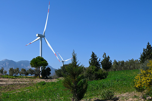 White wind turbines