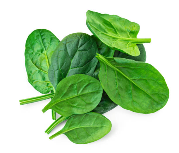 istock Spinach leaves isolated on white background. Various fresh green Espinach Macro. Top view. Flat lay. 2075739394