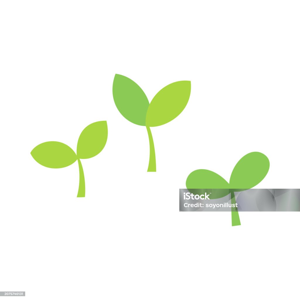 Simple Sprout Background Cute Sprout Isolated On White Background Stock Illustration - Download ...