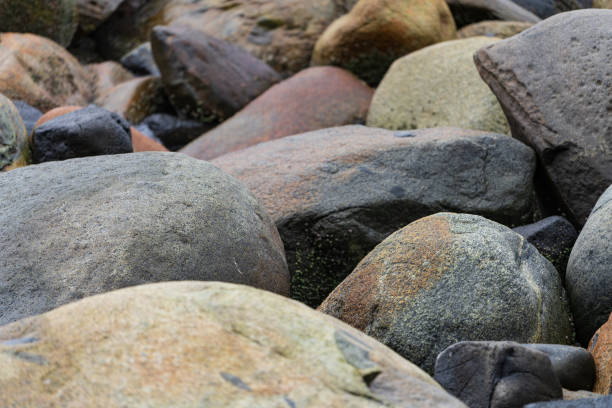 At the serene seaside, a spread of colorful pebbles lines the water's edge, forming a natural palette. These stones, sculpted by the waves, reveal their vibrant hues with the ebb and flow of the tide, adding a unique charm to the coastline.