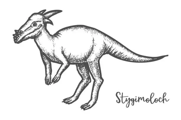 Vector illustration of Pachycephalosaurus dinosaur or Stygimoloch vector sketch tatoo