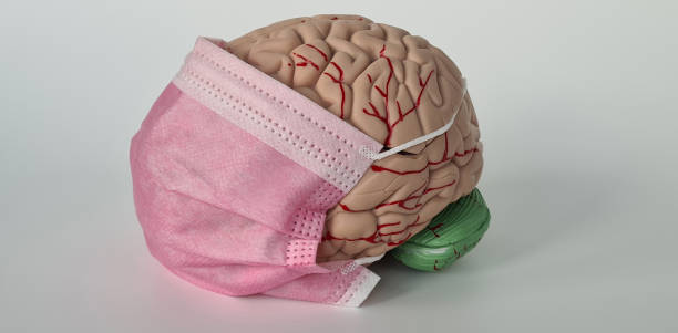 istock Human brain anatomy and medical protective mask 2075742287