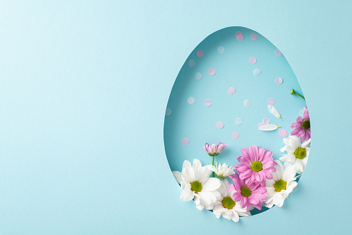 Celebrate Easter idea illustration. Top view of colorful chrysanthemums and confetti, seen through an egg-shaped window on pastel blue background, with space reserved for heartfelt messages or adverts