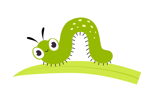 Green Caterpillar or Worm as Crawling Insect on Grass Blade Vector Illustration. Cute Mammal and Fauna