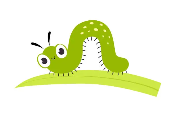 Vector illustration of Green Caterpillar or Worm as Crawling Insect on Grass Blade Vector Illustration