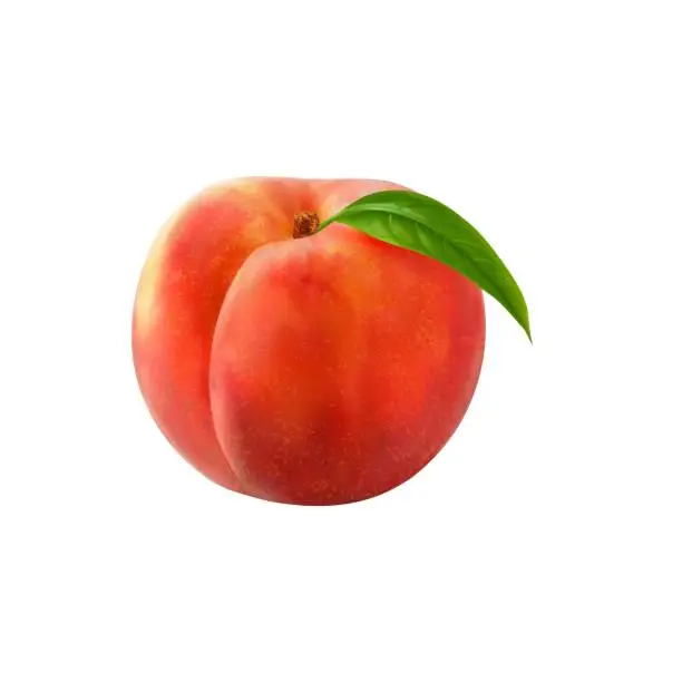 Vector illustration of Realistic ripe raw peach, isolated 3d vector fruit