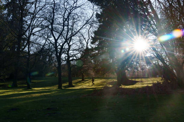 istock Dappled Light: Morning in Queen Elizabeth Park 2075751716