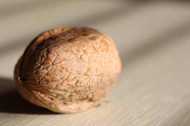 Walnuts on stump isolated on white background.