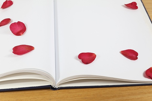 Red petals positioned in the by a note book end copy space