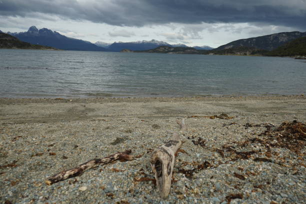 istock Scenic Stony lake beach 2075769516