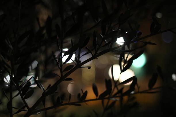 Immerse yourself in the mesmerizing allure of the urban night as abstract bokeh lights illuminate the darkness with a dazzling display of colors and shapes