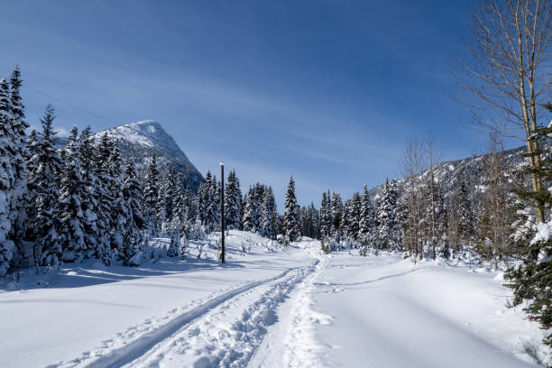 istock Snow scene in Coquihalla Summit 2075812899