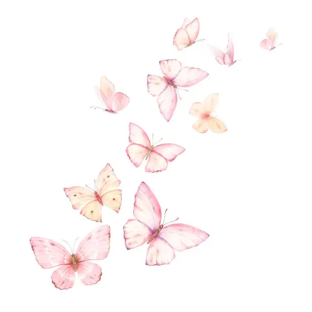 Vector illustration of Pink peach flying vector watercolor butterflies. Excellent for wedding design, stationery, invitations, postcards. Hand painted illustration.