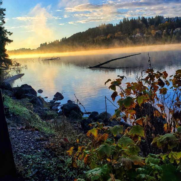 istock Lake on a foggy morning 2075822629