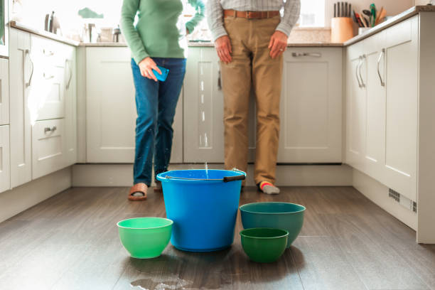 istock Worried home owners dealing with water leak in the kitchen 2075834329