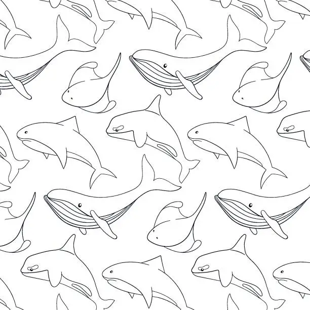Vector illustration of Undersea and ocean animals seamless pattern in line art style. Wild marine creatures shark, blue whale, stingray and killer whale. Vector illustration on a white background.