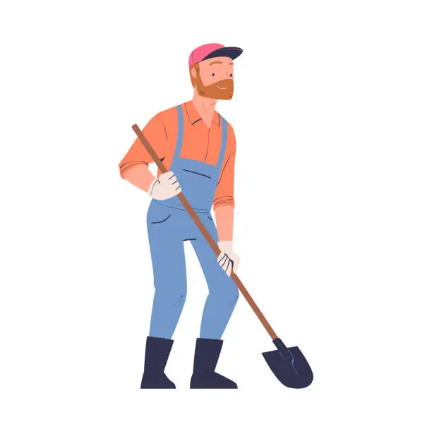 Vector illustration of Bearded Man with Shovel Harvesting Digging Ripe Potato Vector Illustration