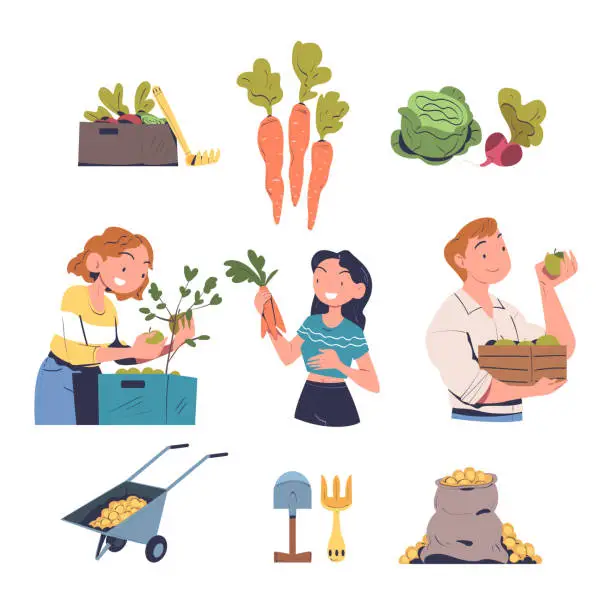 Vector illustration of People Characters Harvesting Gathering Ripe Agricultural Crops Vector Set