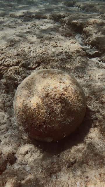 Close up of an old stone cannonball lying on rocky seabed