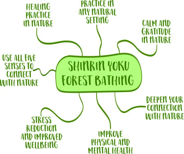 Vector illustration of Japanese concept of shinrin yoku, forest bathing, the practice of immersing oneself in nature, mind map vector sketch