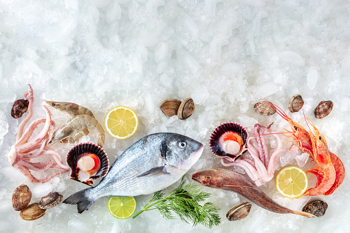 Seafood. Fresh fish and sea food on ice, top shot with copy space. A background for a market or a restaurant menu. Shellfish, scallop, and lime, with dill