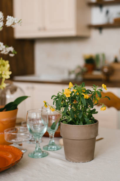 istock Yellow flowers in a ceramic pot in the Scandinavian-style kitchen decor 2075914505