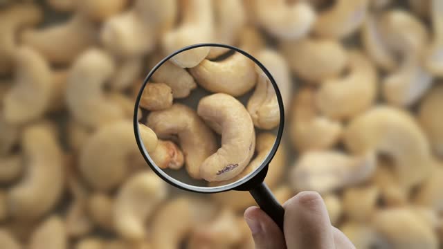 Focusing on cashew nuts