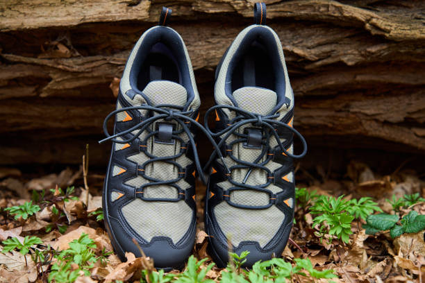 Hiking Boots in Nature. Sturdy trekking shoes against a backdrop of forest terrain. Concept of exploration and outdoor activities