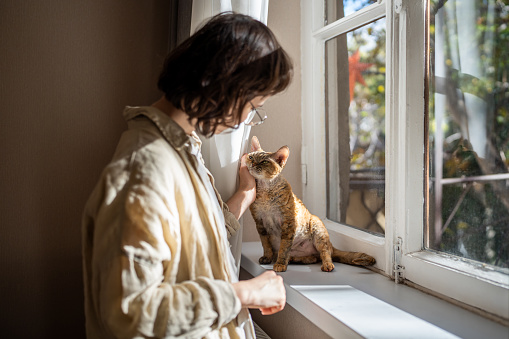 Tender loving teenager caressing, stroking adorable breed cat Devon Rex sitting on windowsill, warming in sunlight. Delighted pet purring of pleasure, satisfaction. Unconditional love to pets