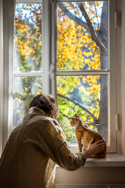 istock Short-haired breed cat Devon Rex and loving pet owner looking at autumn street through window 2075955426
