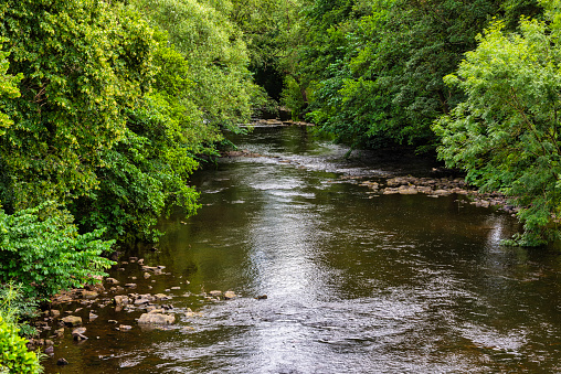 The River Derwent near Froggatt and below Curbar Edge in the Peak District in Derbyshire, England