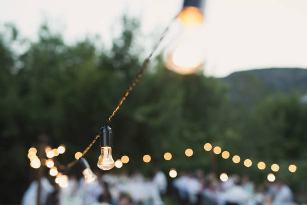 istock Decorative outdoor string lights hanging on a tree in the garden at night 2075971183