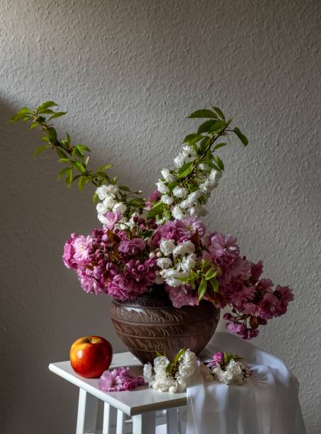 Spring bouquet of cherry tree branches. Cherry blossoms.