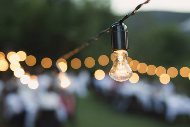 istock Decorative outdoor string lights hanging on a tree in the garden at night 2076004938