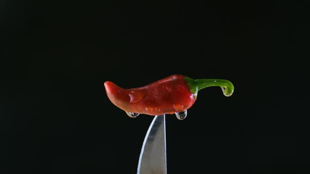 Closeup shot of a small red chilli on tip of a knife with droplets of water dripping with black background.