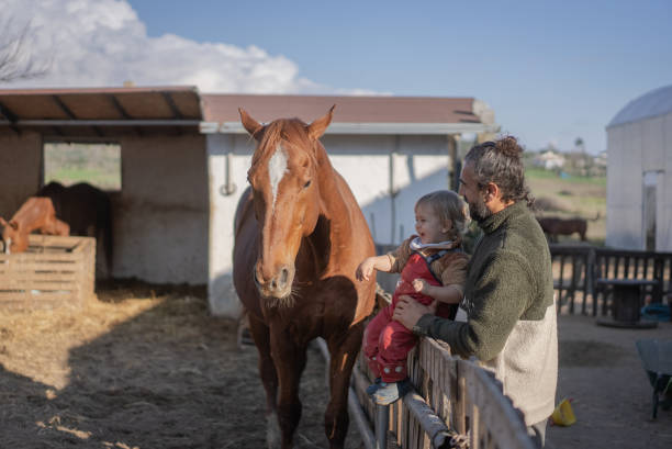 istock Father carrying son on horse ranch 2076030471