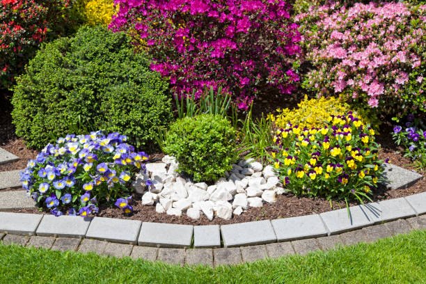 istock beautiful summer garden with blooming flowers 2076031007