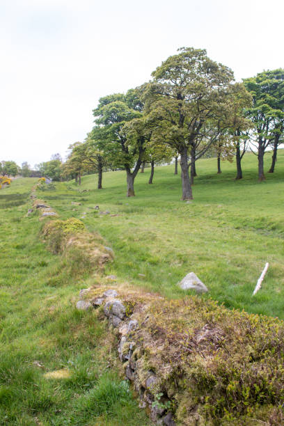 Looking out over a field of pasture in the Lake District of the United Kingdom.