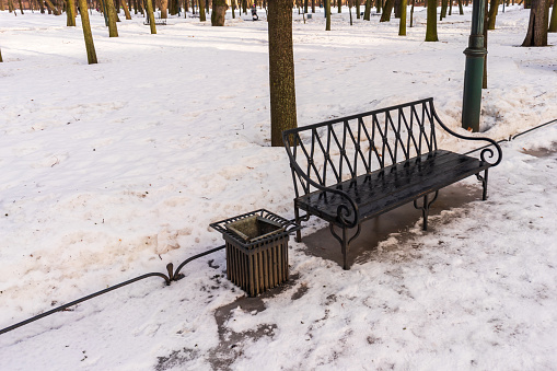 Interesting wrought iron bench in the classic style of the 19th century with a curved back and a hard seat, vintage garden furniture, park alley, tree trunks, snow and ice, parks and nature, sunny day, stock photo, winter.