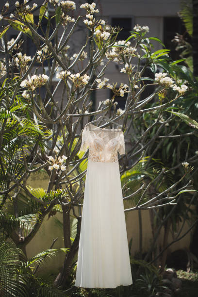 wedding dress hanging on a tree - photography branch tree day imagens e fotografias de stock